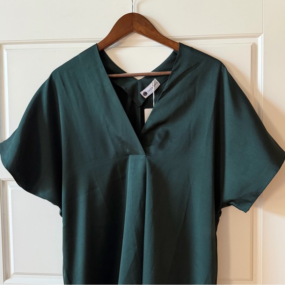 Caryn Lawn Dark Green Satin Shift Dress One Size Minimalist NWT - Picture 3 of 11